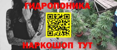 мдпв Рыбинск