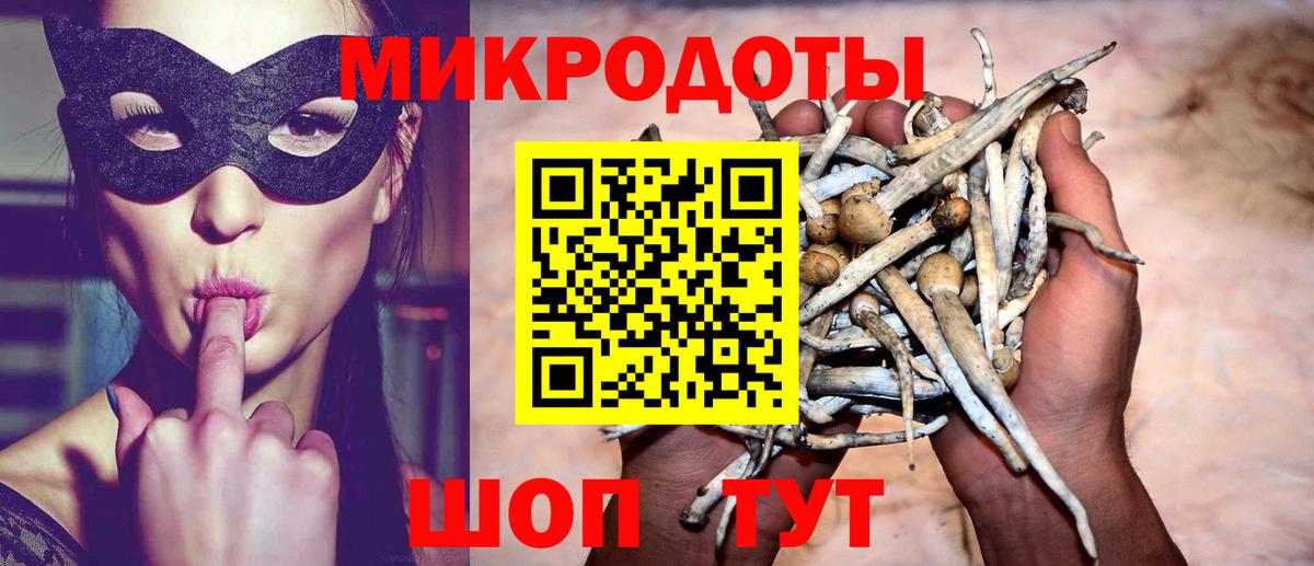 Галлюциногенные грибы MAGIC MUSHROOMS  Вход с VPN  Псилоцибиновые грибы Cubensis  Октябрьский 